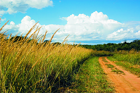 Serranía de San Rafael / &copy;: Fernando Allen for WWF Paraguay