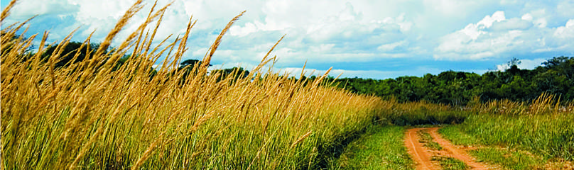 Serranía de San Rafael / &copy;: Fernando Allen for WWF Paraguay