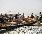 Artisanal fishing in Senegal makes up a large part of the country's national budget.