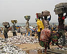 The new marine protected areas bring new hope for Senegalese fishermen, whose catches have declined drastically in the last five decades.