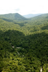  / &copy;: Brent Stirton/Getty Images / WWF-UK