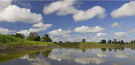 DO NOT USE THIS IMAGE. WWF HAS SINGLE-USE RIGHT FOR THIS SHOT FROM THE PHOTOGRAPHER. rel=