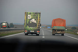  / &copy;: WWF DCP