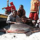 Shark fishing: akio tomanimanente. 5 shark species are caught around Itampolo. They are a source of protein, oil and money: the meat is eaten, oil is extracted from the liver, and the fins are exported to South East Asia © WWF / Dominic Tilley