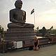 Shri Mahavir Bhagwan Ahinsa Sthala - Jain statue, New Delhi © WWF / Melissa Wheeler