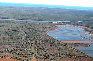 Aerial view of shrimp farms surrounded by mangrove forests, Madagascar. / ©: WWF Madagascar / WWF-Canon / ©: WWF Madagascar / WWF-Canon