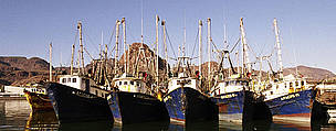Shrimp fleet in harbour, Gulf of California, Mexico. / ©: Gustavo Ybarra / WWF-Canon / ©: Gustavo Ybarra / WWF-Canon