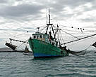 Fishing subsidies have led to a worldwide fishing fleet 250% larger than needed to catch what the ocean can sustainably produce.<BR>