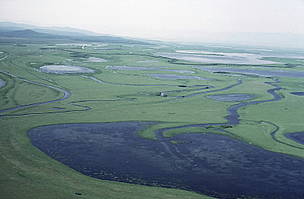 Floodplains of the Amur river, Siberia, Russian Federation. / ©: Thomas Neumann / WWF-Canon / ©: Thomas Neumann / WWF-Canon