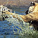 &copy; David Lawson / WWF-UK