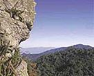 Sierra de las Minas Biosphere Reserve, Guatemala.