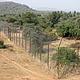 Site of translocation of tigers from Ranthambore to Sariska Tiger Reserve in June-July 2008 © WWF / Melissa Wheeler