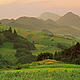 Green Mountains -- The Carpathian Mountains in eastern Slovakia, Polana National Park