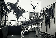 Endangered species skins in Burma. / ©: Adam Oswell / WWF-Canon / ©: Adam Oswell / WWF-Canon