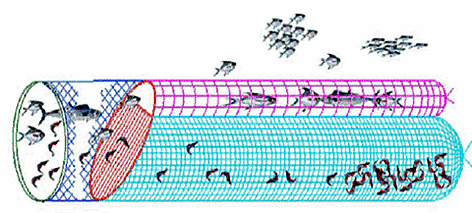 Artistic rendition of the Juvenile Fish Excluder cum Shrimp Sorting Device (JFE-SSD), courtesy of ... / &copy;: Central Institute of Fisheries Technology