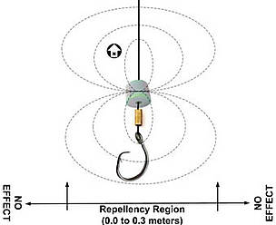 Rare-earth magnet on a longline with surrounding magnetic field. Range of the shark-repelling ... / &copy;: Smart Gear / Michael M. Herrmann
