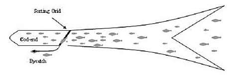A diagram showing how bycatch can escape through the flexi-grid in a trawl net. / &copy;: Smart Gear / Kristian Zachariassen
