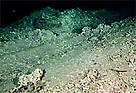  / &copy;: Institute of Marine Research, Norway