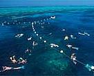 Snorklers out on the Great Barrier Reef, Queensland, Australia.