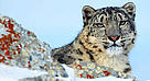  / &copy;: WWF / KLEIN & HUBERT