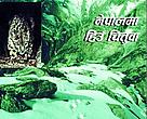 Snow Leopard in Nepal