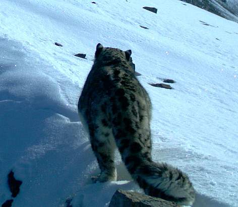  / &copy;: WWF-Russia / Sergey Spitsyn