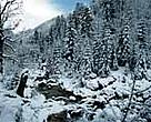 If global warming is not stopped, snowy winters may become a thing of the past.