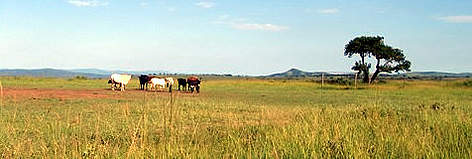 Soccer field next to the Hluhluwe-iMfolozi Park. / ©: WWF / Canon - Pam Sherriffs Soccer field next to the Hluhluwe-iMfolozi Park. rel=