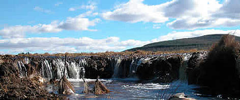 This is essentially an unstable waterfall, constantly eating away at the soil and sending it ... / ©: WWF-Canon / Chris MARAIS This is essentially an unstable waterfall, constantly eating away at the soil and sending it ... rel=