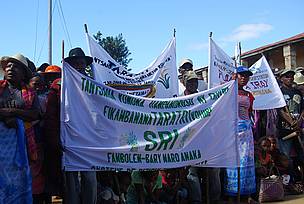 System of Rice Intensification yield more rice with less water and land.
