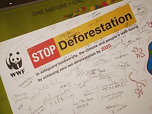 Ministers of 60 countries attending the CBD COP9 signed on to WWF's postcard calling for zero net ... / ©: WWF-Brasil / João Gonçalves / ©: WWF-Brasil / João Gonçalves