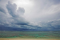  / &copy;: WWF-Canon / Martin HARVEY 