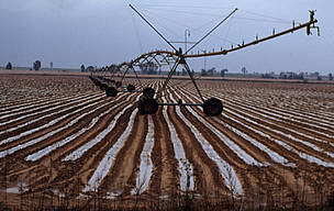 Irrigation of a strawberry field in Spain - an example of the subsidy programme undermining ... / ©: WWF-Canon / Michel GUNTHER Irrigation of a strawberry field in Spain - an example of the subsidy programme undermining ... / ©: WWF-Canon / Michel GUNTHER