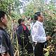 Vietnamese delegation in a FSC certified rattan forest in Bolikhamxay province © WWF-Vietnam