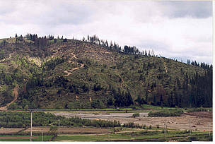 Illegal clearcutting at Suceava valga in Romania. / ©: WWF-DCPO / ©: WWF-DCPO
