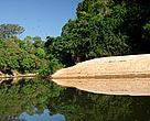 Sucunduri River bank