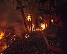 Illegal land clearing by burning in Riau province, Sumatra, Indonesia in 1997, common again in 2005.