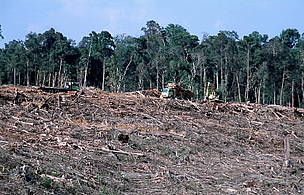 / &copy;: WWF-Canon / Alain COMPOST