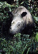  / &copy;: Alain Compost / WWF-Canon