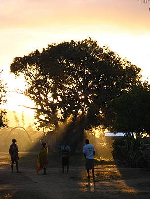 The sun setting in Anjialavabe, Madagascar / ©: Lucia Canedo Pouso / ©: Lucia Canedo Pouso