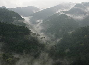 Misty mountains in Kuiburi National Park, Kayah Karen Tenasserim, Thailand / ©: Supol Jitvijak / WWF Greater Mekong / ©: Supol Jitvijak / WWF Greater Mekong
