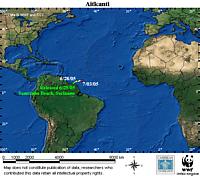 Map locator for this leatherback. Click to view an enlarged animated version. The latest positional ... / &copy;: WWF / CCC