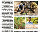 Sustainable rattan production
in Greater Mekong region brings
hope to forests and people