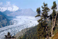Aletsch glacier, Swiss Alps. / &copy;: WWF-Canon / Hartmut Jungius