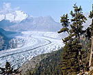 Aletsch glacier, Swiss Alps. Europe's Alps have many important habitats, and are the continent's largest water reservoir.