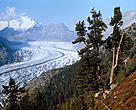 A Swiss glacier, Aletsch Reserve, Switzerland.