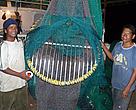 The Trash and Turtle Excluder Device, or TTED, will limit accidental capture of larger marine species. 