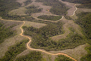 Tala rasa / ©: WWF Chile / ©: WWF Chile
