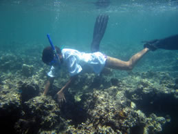 WWF Marine Officer surveys a marker bouy demarcating the boundaries of the protected area around ... / ©: WWFSPP / Monifa Fiu WWF Marine Officer surveys a marker bouy demarcating the boundaries of the protected area around ... / ©: WWFSPP / Monifa Fiu