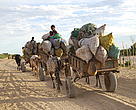 Charcoal transport near Toliara, Southwest Madagascar
